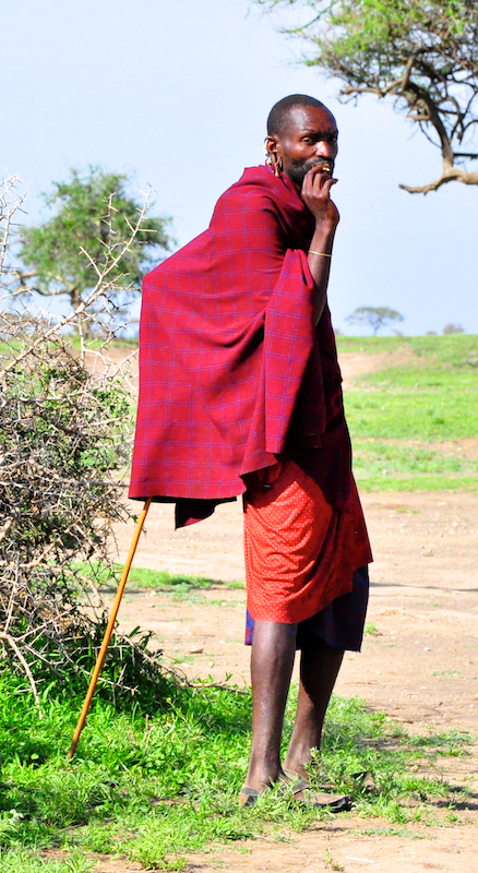 Ngorongoro Crater - Serengeti National Park